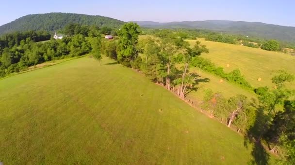 Verão de sobrevoo da quinta aérea — Vídeo de Stock