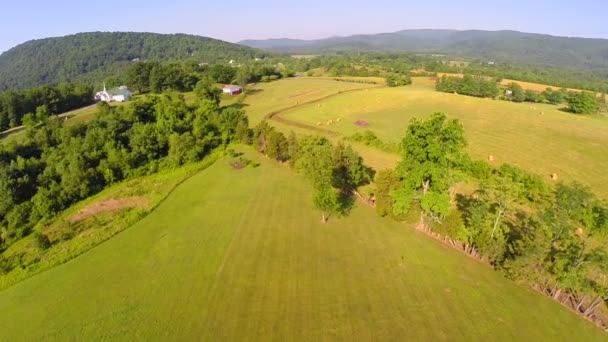 Aerial gård flyover sommaren — Stockvideo