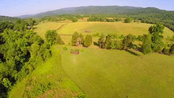 Aerial farm flyover summer — Stock Video