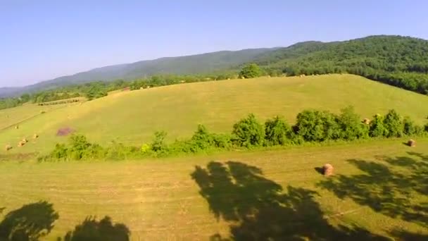 Aerial farm flyover summer — Stock Video