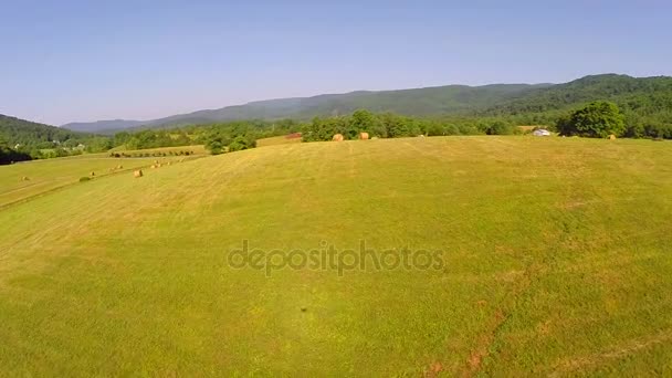 Летняя воздушная ферма — стоковое видео