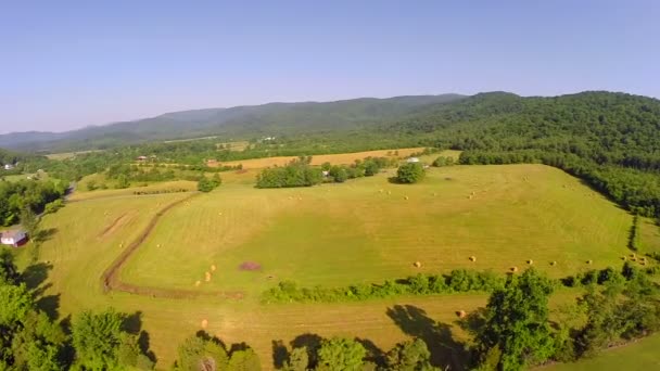 Survol aérien de la ferme été — Video