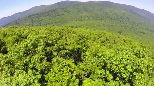 Aérea shenandoah vale montanhas cume azul — Vídeo de Stock