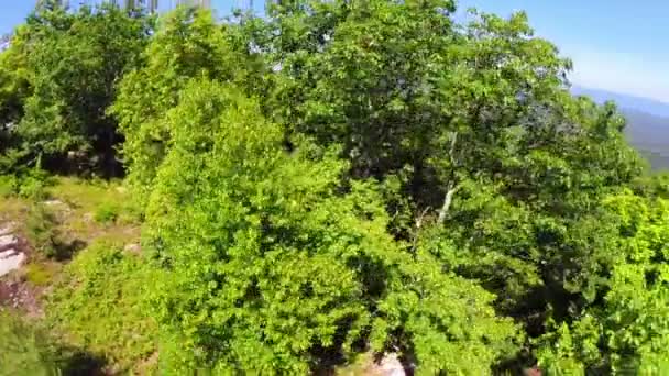 空中シェナンドア バレー ブルーリッジ山脈 — ストック動画