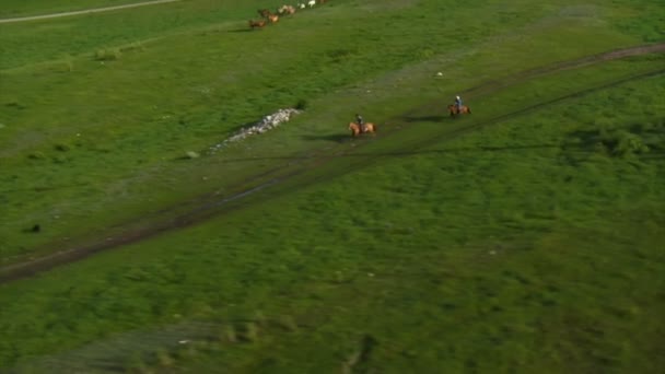 Letecký snímek kovbojové a koní v zeleném údolí Royalty Free Stock Video