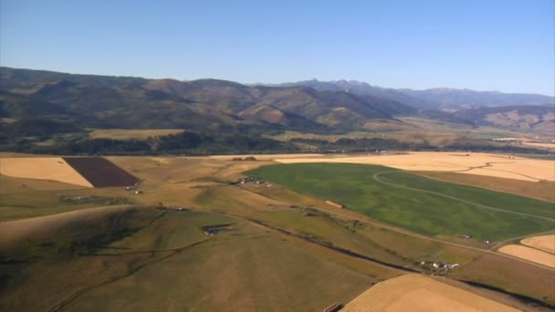 Aerial shot of farm fields from above — Stock Video