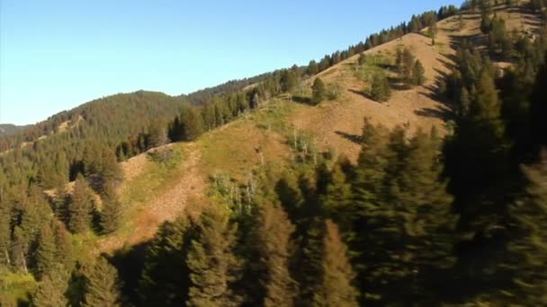 Аэросъемка лесов и склонов гор — стоковое видео