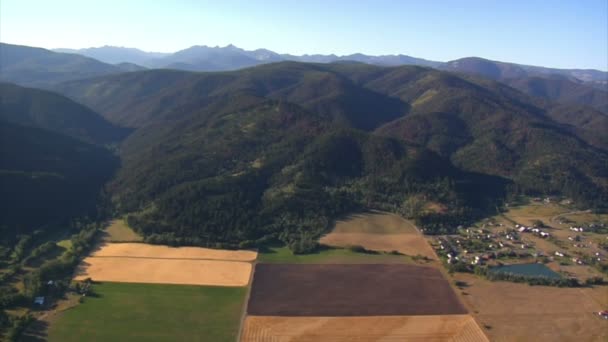 Luchtfoto van bos en berghelling en velden — Stockvideo