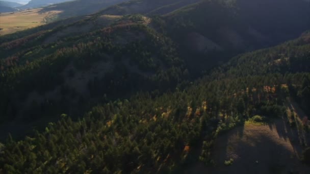 Tiro aéreo de desfiladeiro florestado — Vídeo de Stock