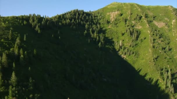 Antenn skott av gröna skogen och bergen — Stockvideo