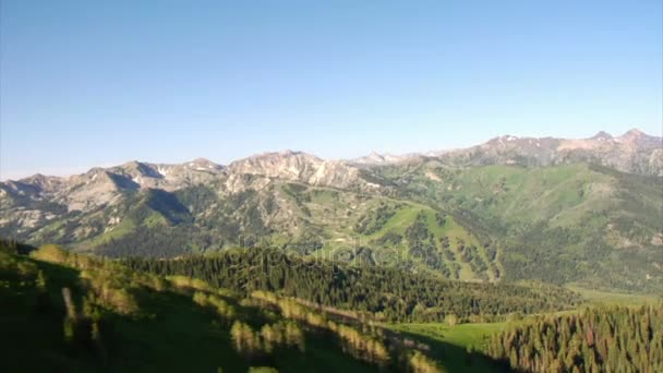 Luchtfoto van groene bossen en bergen onthullen — Stockvideo