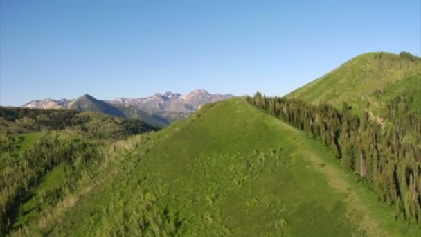 Colpo aereo di foresta verde e montagne — Video Stock