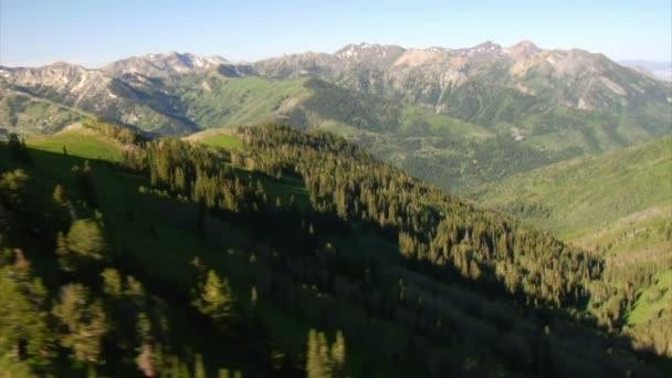 Tiro aéreo de floresta verde e montanhas revelam — Vídeo de Stock