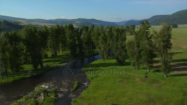 緑の谷川と牧場の空中ショット — ストック動画