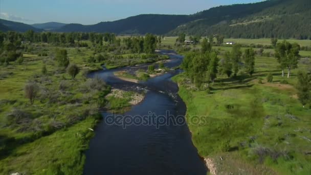 Luftaufnahme des grünen Talflusses und der Ranch — Stockvideo