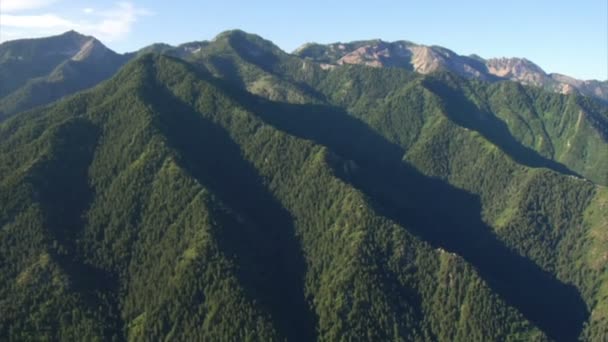 Aerial shot of green forest and mountains — Stock Video