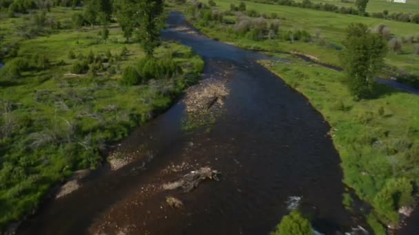 Ripresa aerea del fiume verde valle e ranch — Video Stock