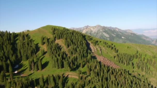 Tiro aéreo de floresta verde e montanhas com trilha — Vídeo de Stock