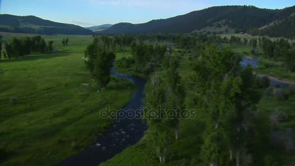 Luftaufnahme eines grünen Tals mit Fluss — Stockvideo