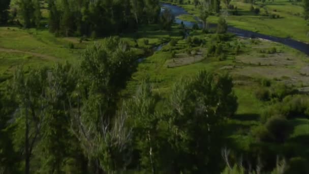 Tiro aéreo de rio vale verde e fazenda — Vídeo de Stock