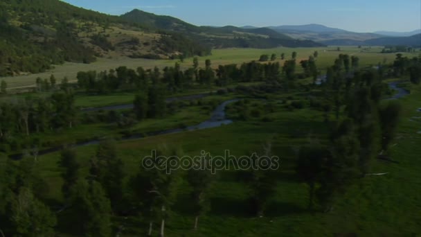 Aerial shot of green valley with river — Stock Video