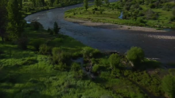 川と緑の谷の空中ショット — ストック動画