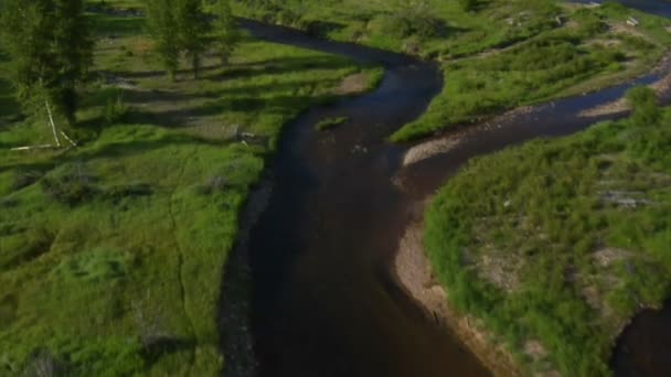 Letecký snímek zelené údolí s řekou Royalty Free Stock Video