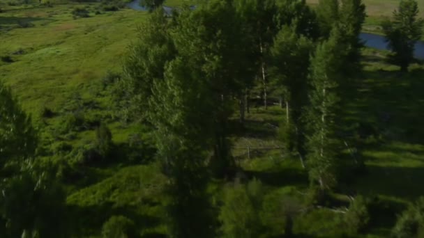 Foto aérea de Green Valley con río — Vídeo de stock