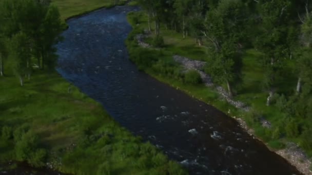 Luftaufnahme eines grünen Tals mit Fluss — Stockvideo