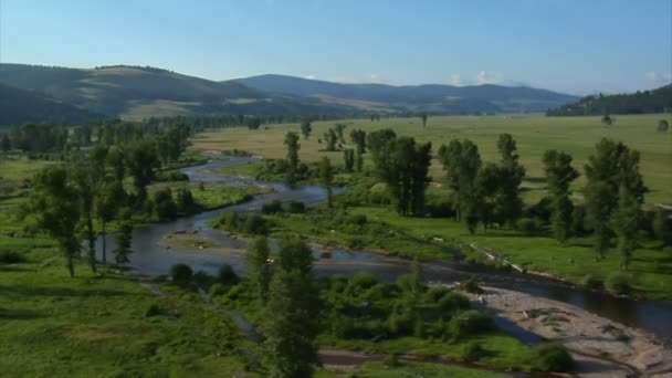 Aerial shot of green valley with river — Stock Video