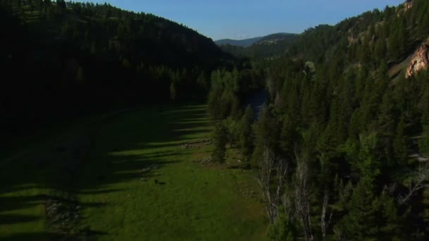 Antenn skott av smala dalen och floden — Stockvideo