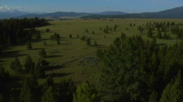 Antenn skott av öppna rangeland med skog och berg — Stockvideo