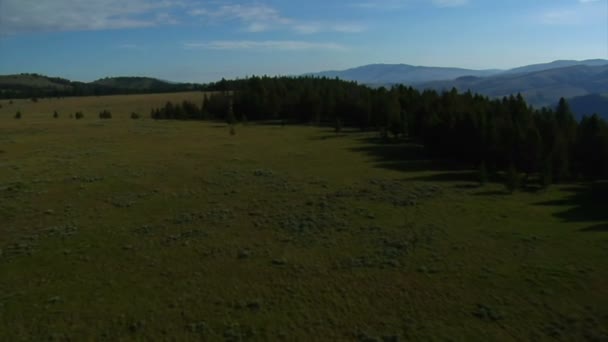 Antenn skott av öppna rangeland med skog och berg — Stockvideo