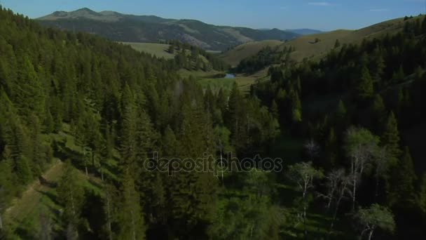 Aerial shot of narrow valley and river — Stock Video