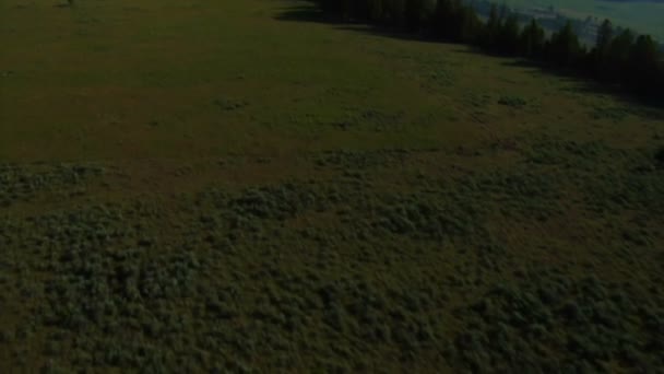 Antenn skott av öppna rangeland med skog och berg — Stockvideo