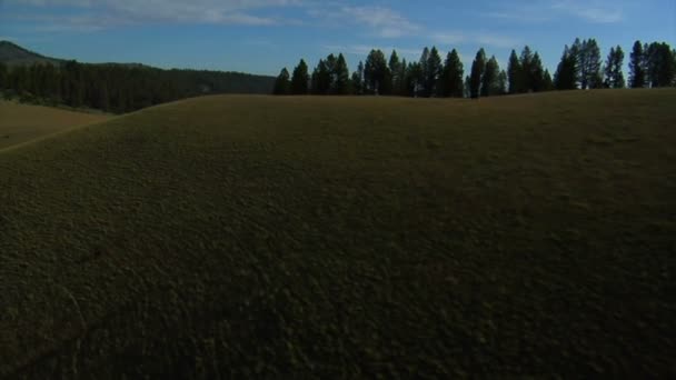 Vue aérienne de pâturages d'armoise avec montagnes 
