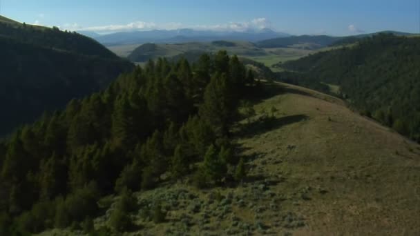 Luchtfoto van alsem weiden met bergen — Stockvideo