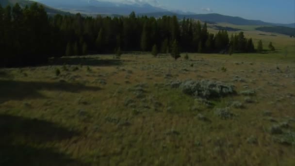 Aerial shot of sagebrush pastureland with mountains — Stock Video