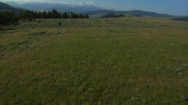 Vue aérienne de pâturages d'armoise avec montagnes 