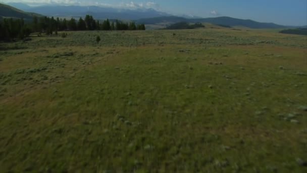 Antenn skott av sagebrush pastureland med berg — Stockvideo