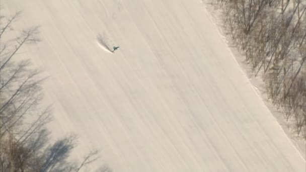 Colpo aereo dello sciatore — Video Stock
