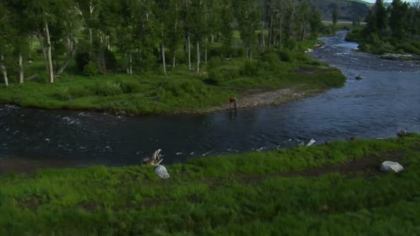 Vue aérienne de deux pêcheurs à la mouche 