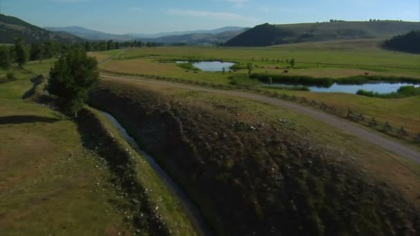 Аэросъемка долины с озерами и скотом — стоковое видео