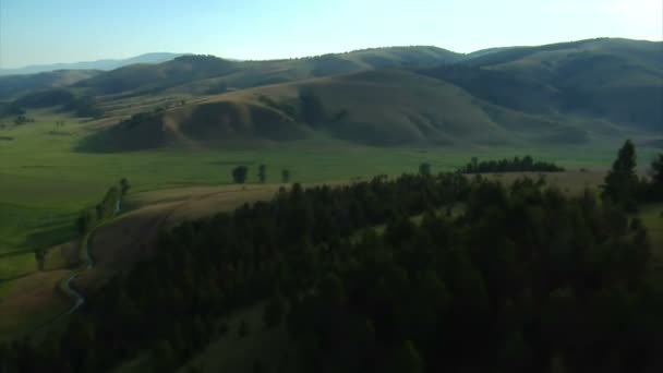 Vista aérea del Valle Verde y el bosque — Vídeos de Stock