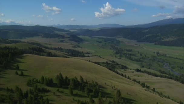 Vista aérea del Valle Verde y el bosque — Vídeo de stock