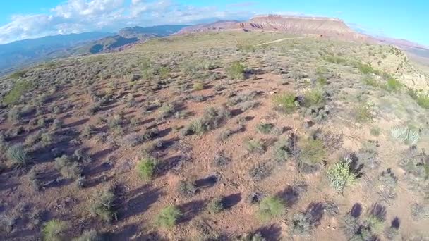 Paysage désertique survol aérien près du sol — Video