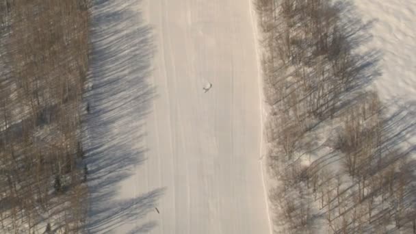 Skifahren auf verschneiten Bergen — Stockvideo