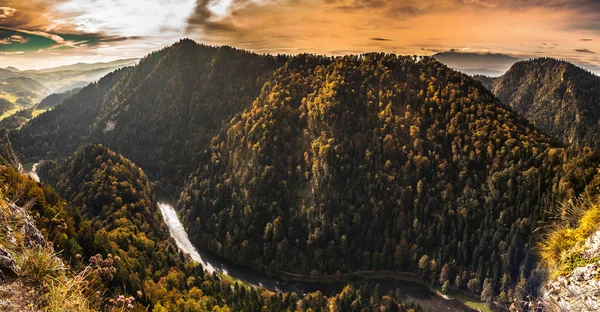 La garganta del río Dunajec . —  Fotos de Stock