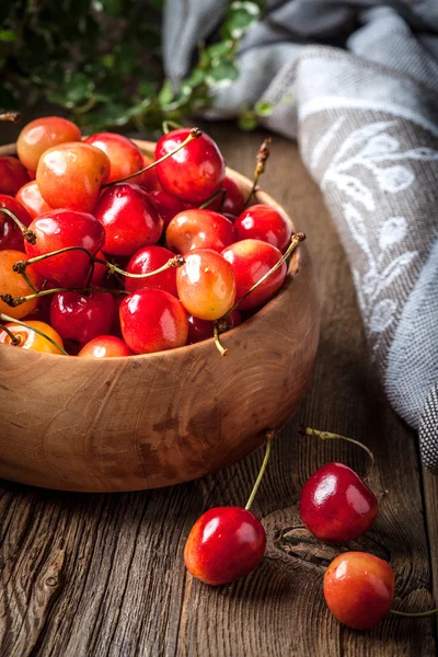 Freshly harvested cherrie. — Stock Photo, Image