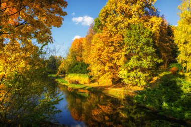 Güzel renkli sonbahar.